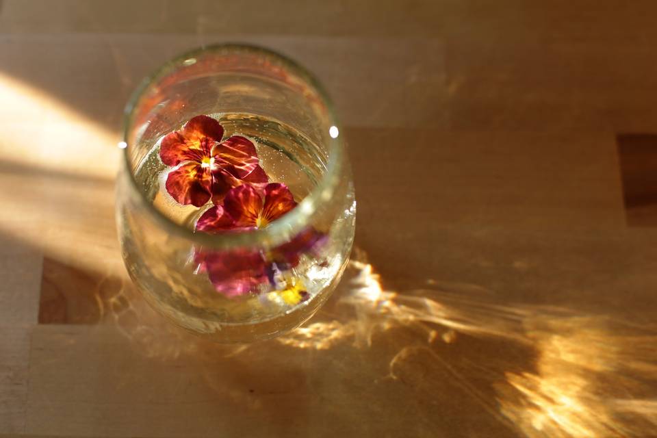 Edible flowers