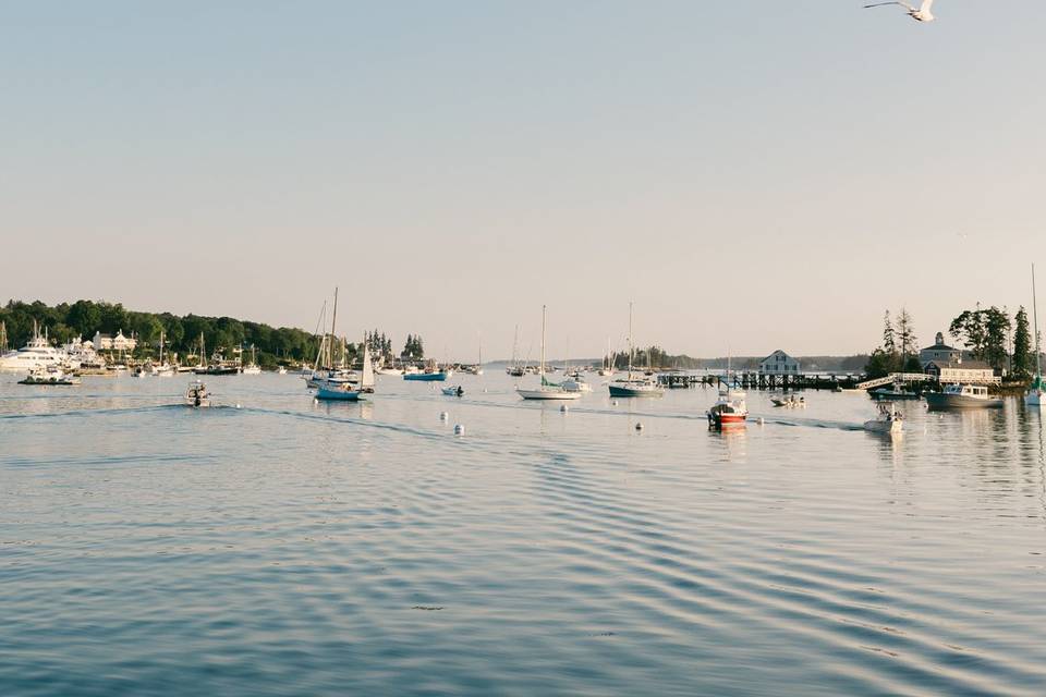 Harbor View