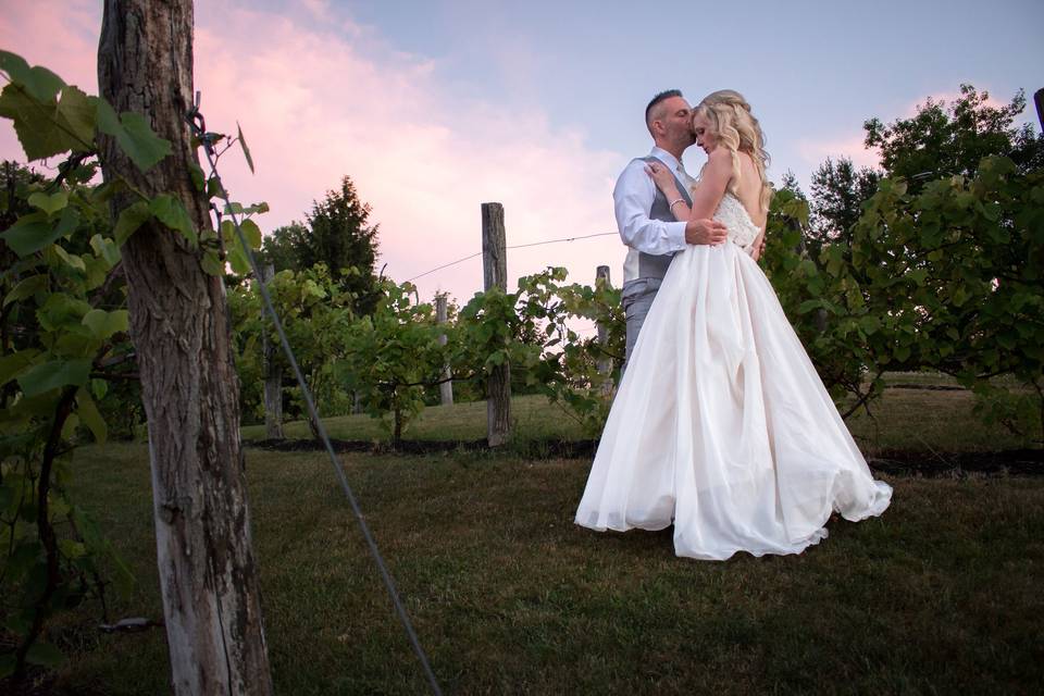 Sunset in Mirbeau Vineyard