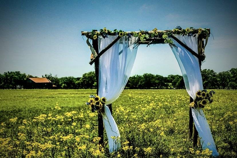 Field wedding option