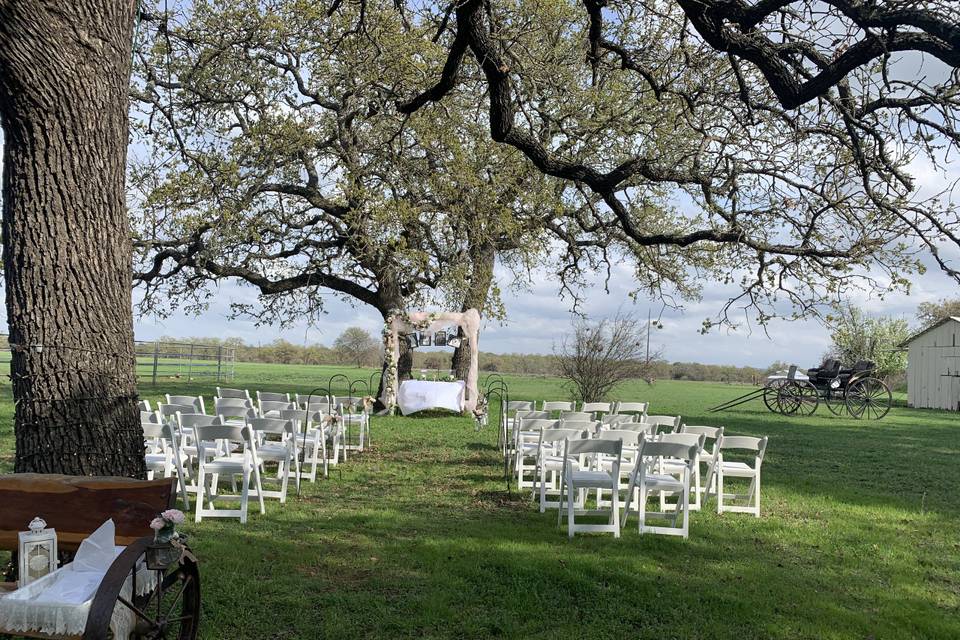 Ceremony on the lawn