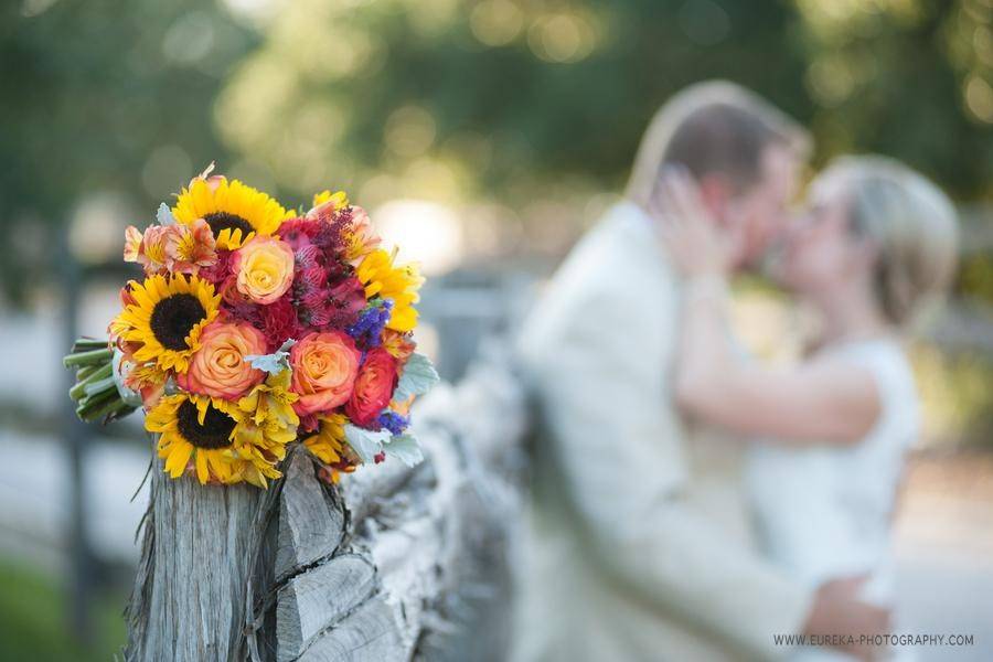 Twisted Ranch Weddings