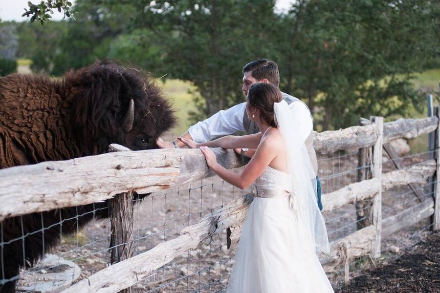 Twisted Ranch Weddings