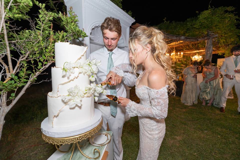 Cake Cutting