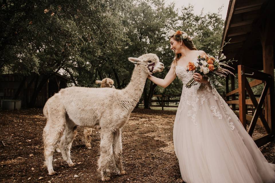 Twisted Ranch Weddings