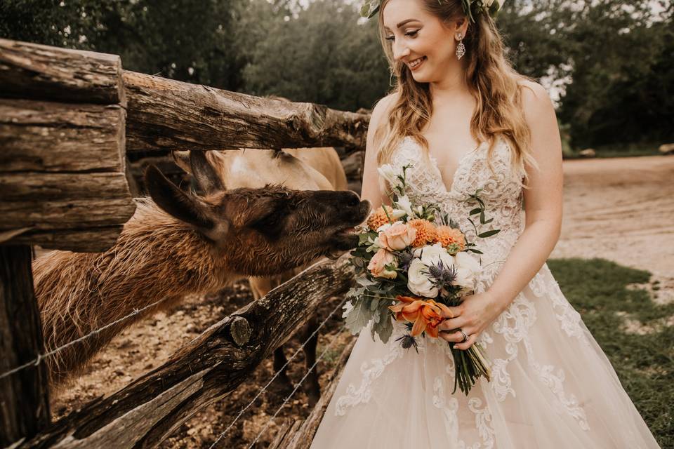 Twisted Ranch Weddings