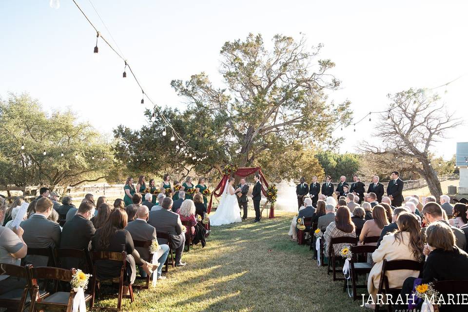 Arbor wedding