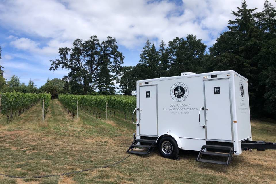2 Stall Downtown - Vineyard
