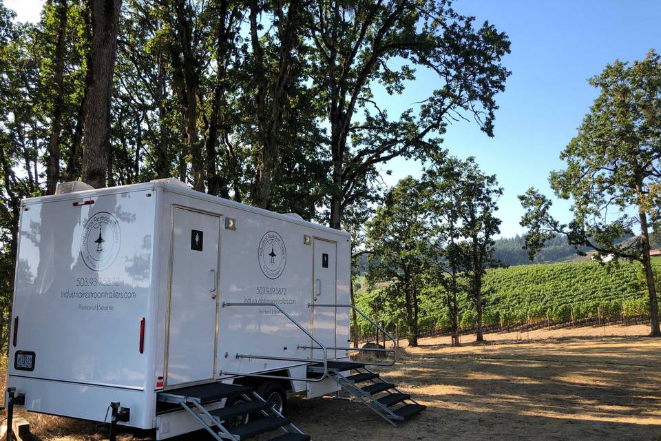 At the Vineyard