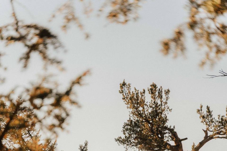 Grand Teton Wedding