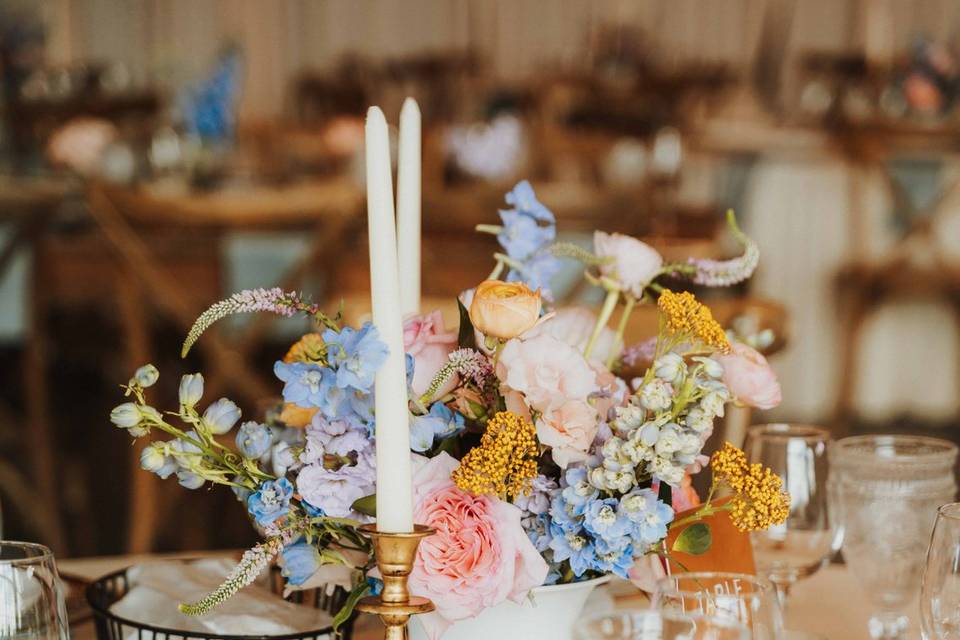 Grand Teton Wedding