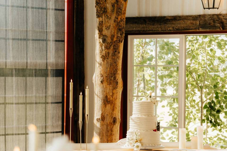 Grand Teton Wedding