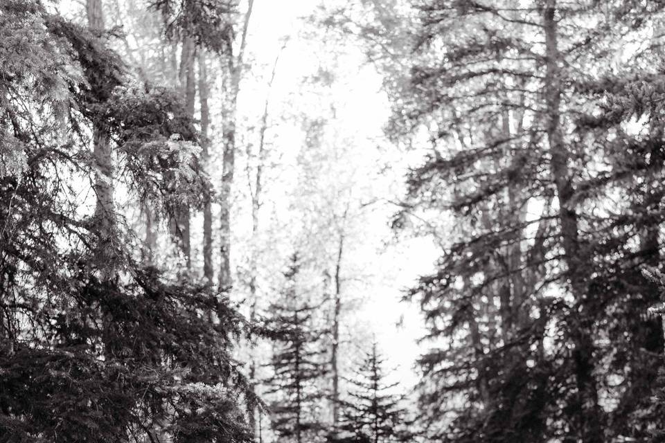 Grand Teton Wedding