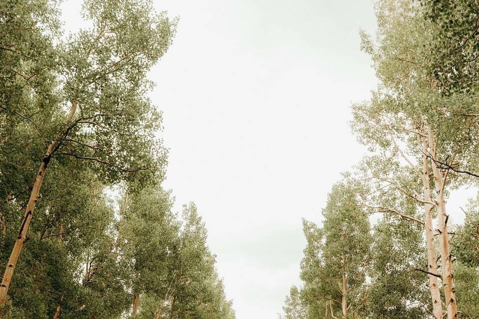 Colorado Wedding
