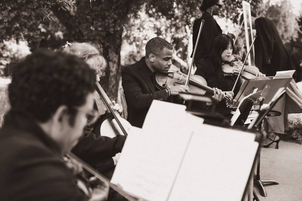 Symphony