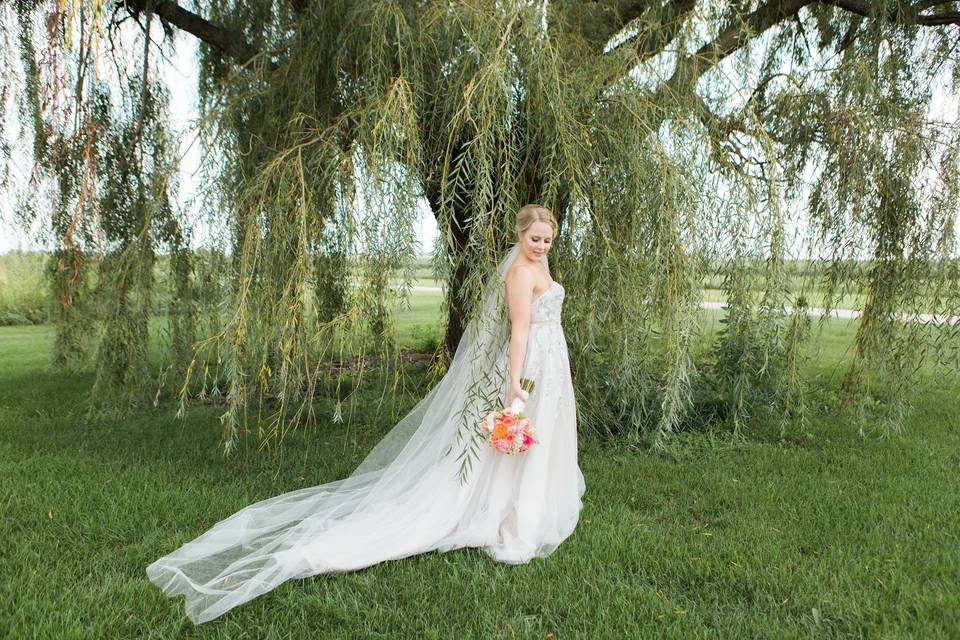 Outdoor ceremony setup