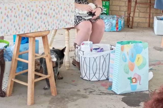 Woodland Creatures Baby Shower