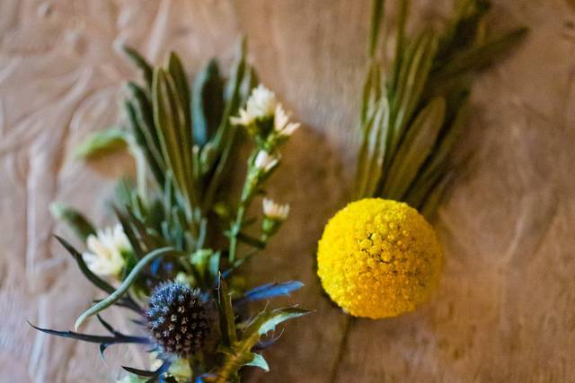 Madalina Lesan Photography