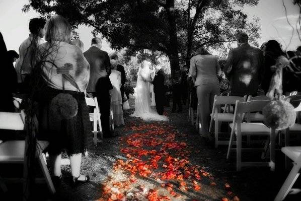 J Perez Imagery