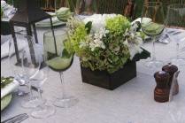 Green plates
