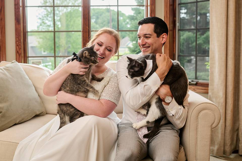 They have Kitty cat love