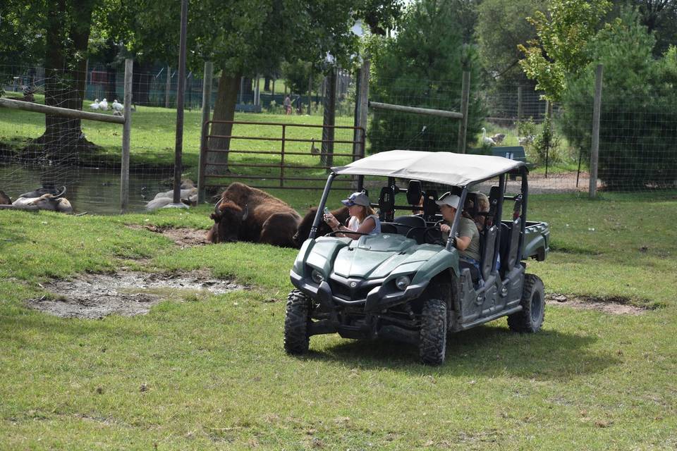 Aikman Wildlife