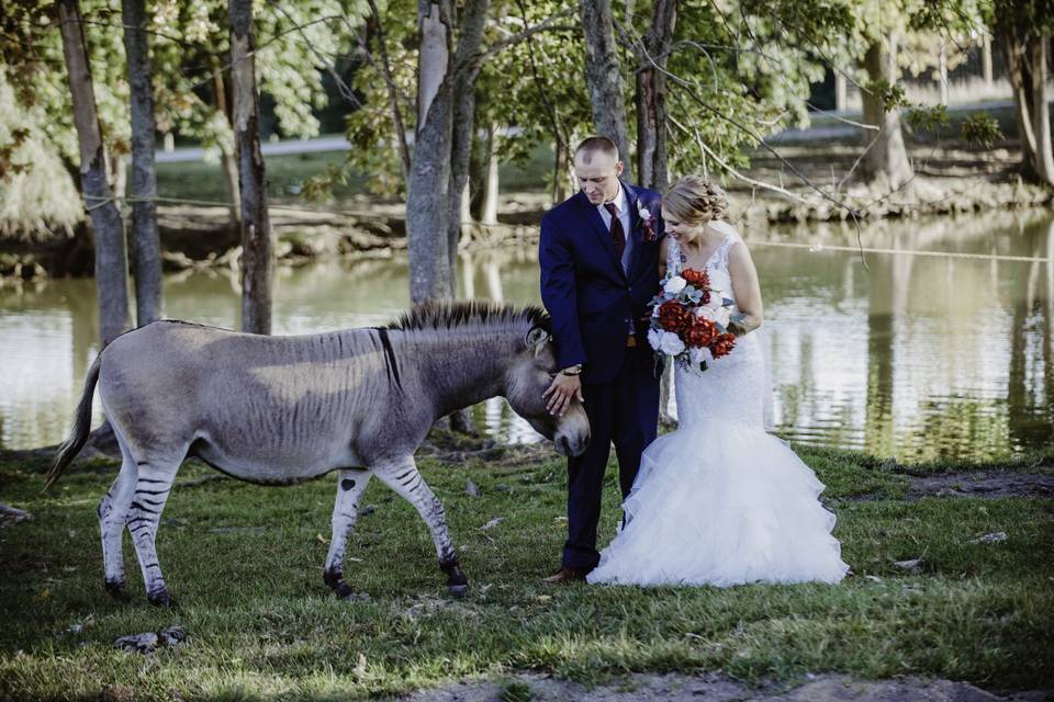 https://cdn0.weddingwire.com/vendor/030270/3_2/960/jpg/aikman-wildlife-4_51_2072030-164129493771507.jpeg