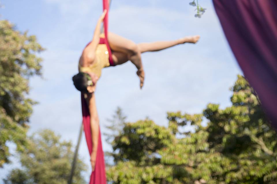 Aerial silk performer
