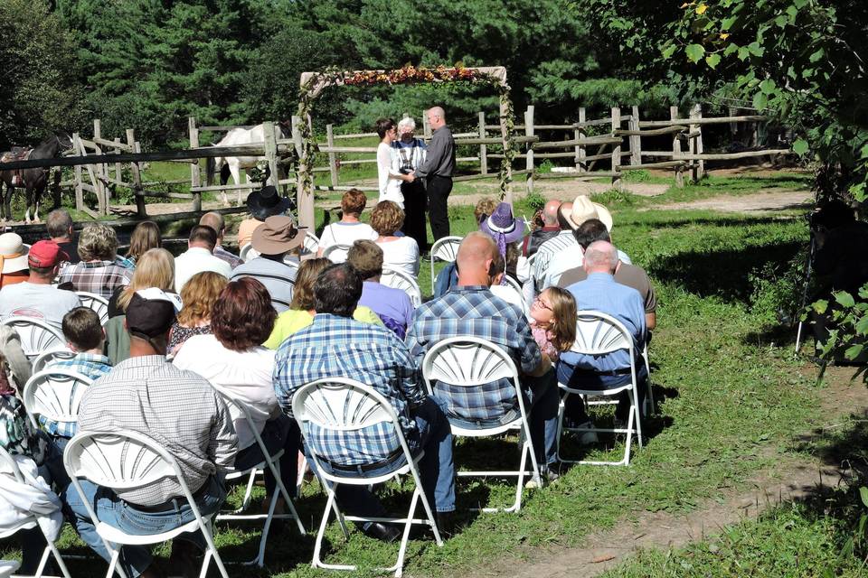 Horse Farm