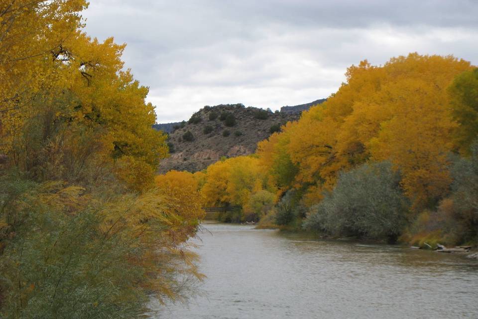 Riverview from Property