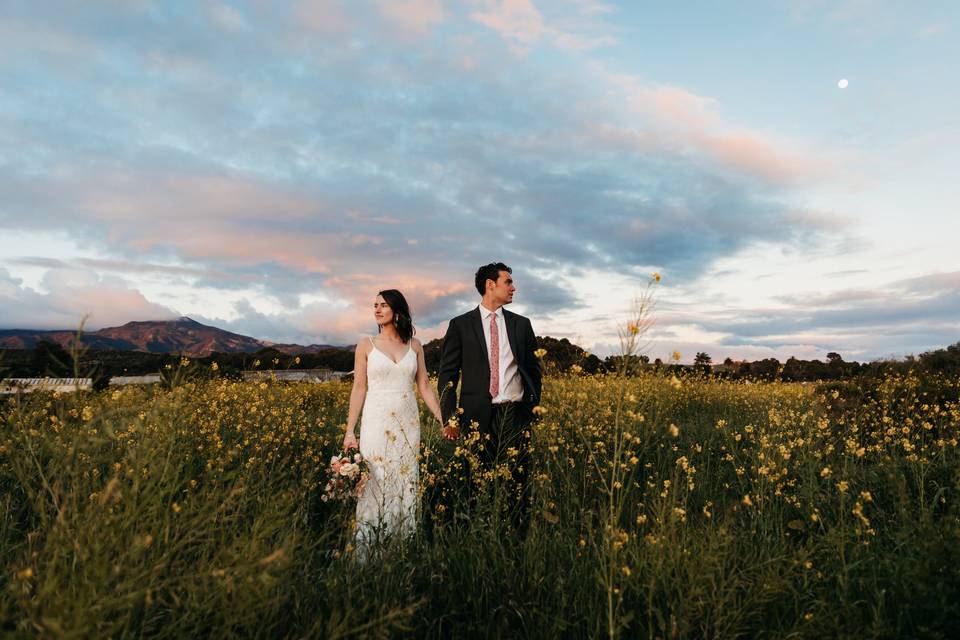 Newlyweds under a soaring sky