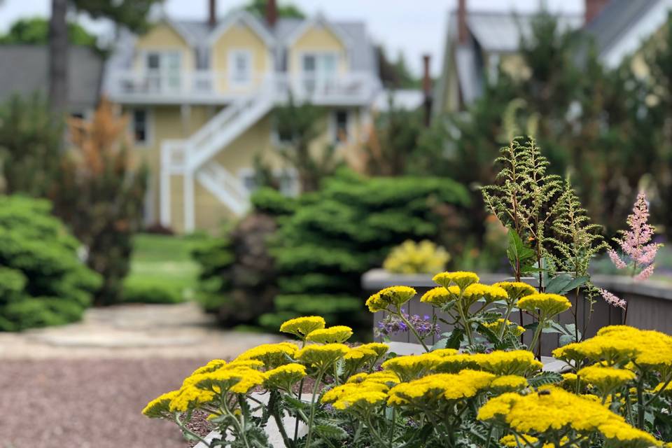 View from garden