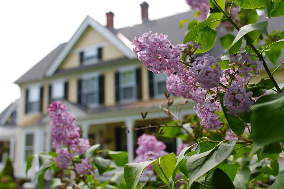 Inn with spring lilac