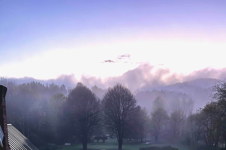View from guest room deck