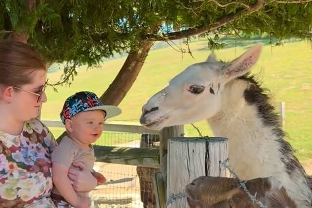 Heritage Farmland Experiences