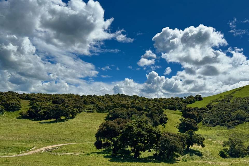 360 degree views