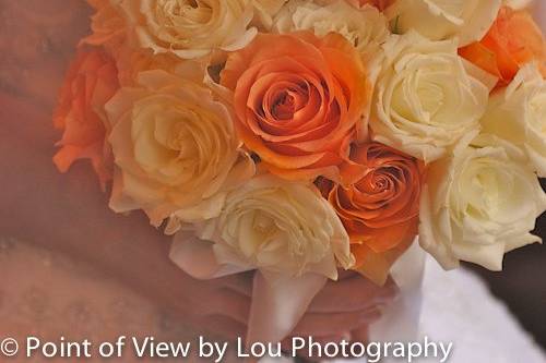 Point of View by Lou Photography