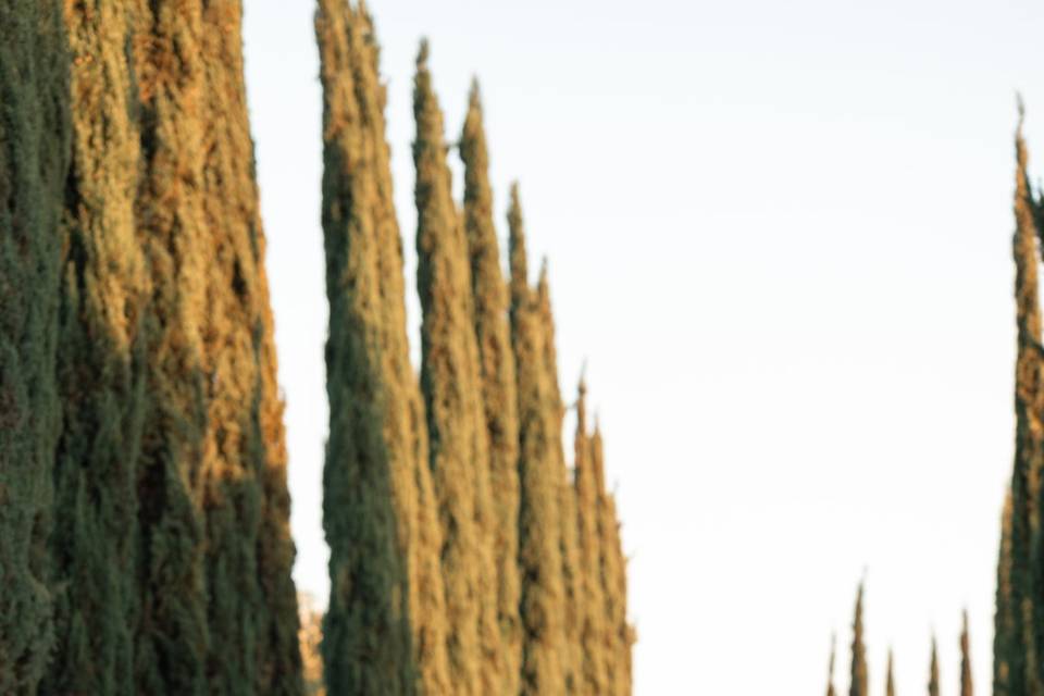 Mount Palomar Winery