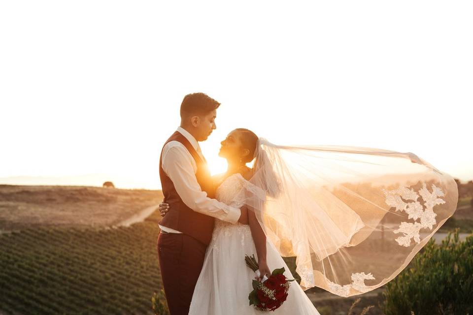 Mount Palomar Winery