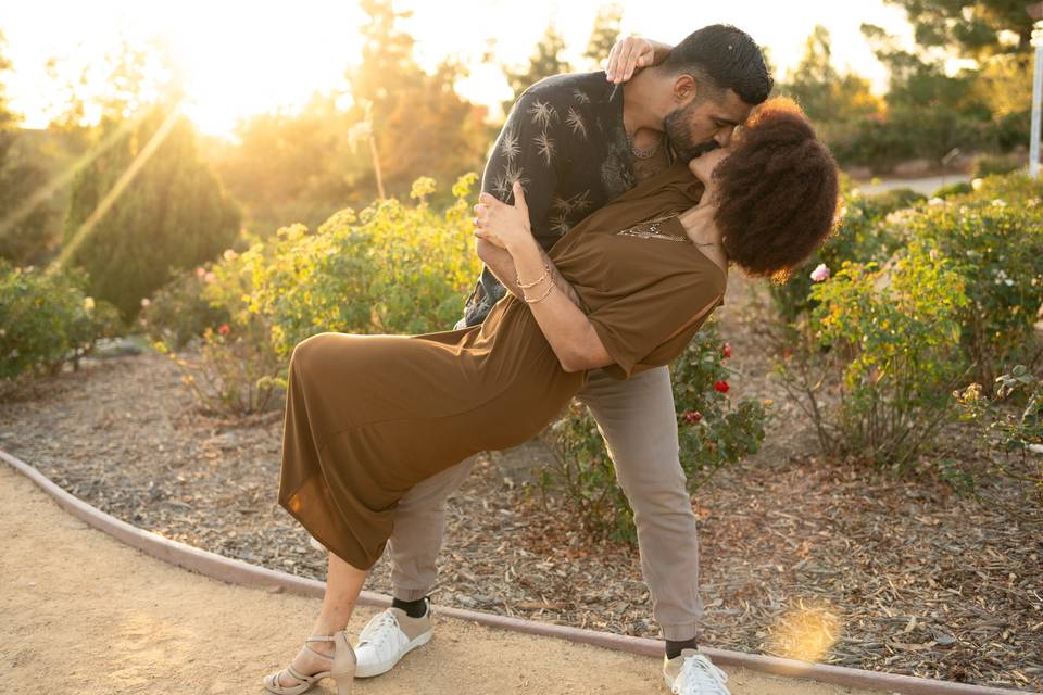 Newly Engaged Dip