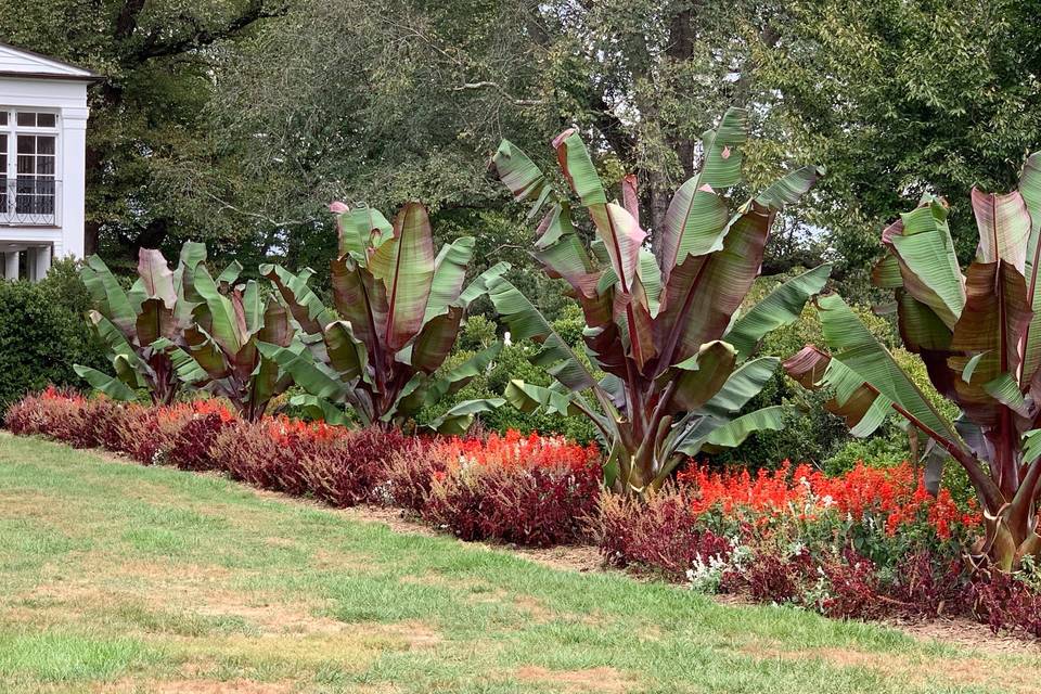 Front Lawn