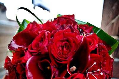 Red roses, Calla lilies