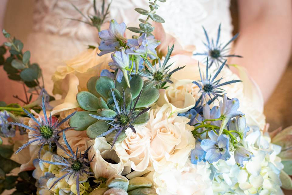 Kari Herren Photography