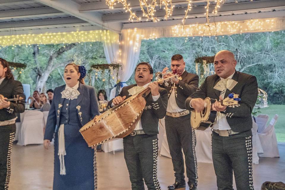 MARIACHI MEXICO  29 Photos - Dallas, Texas - Musicians - Phone Number -  Yelp