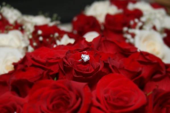 Images By Rocky Banks