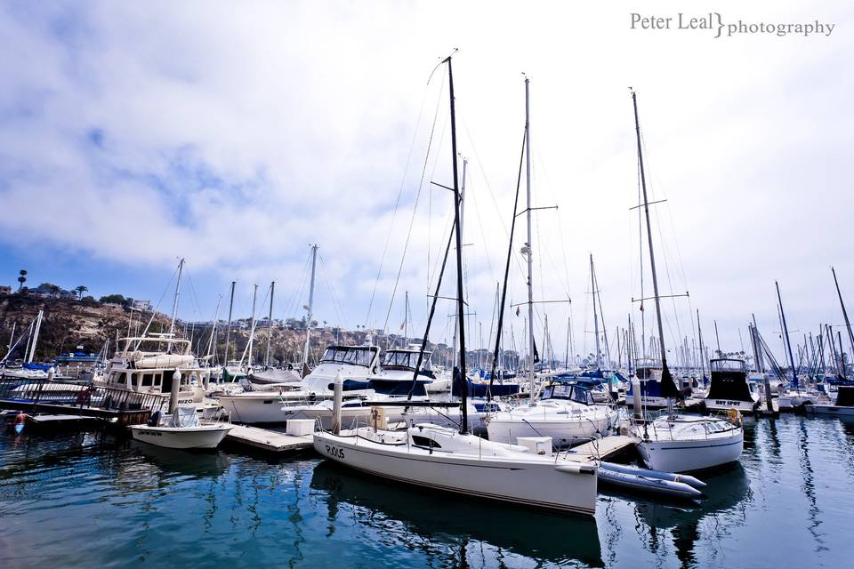 Dana Point Yacht Club