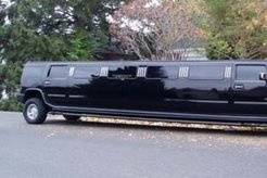 Black Night Limousine