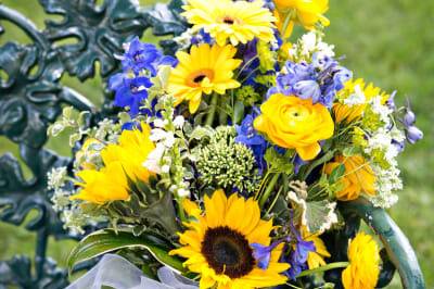 Bright and happy flowers
