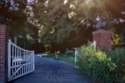 Rick Tan HarpThe Yolanda Ranch, WoodlandArtisan Wedding Photography