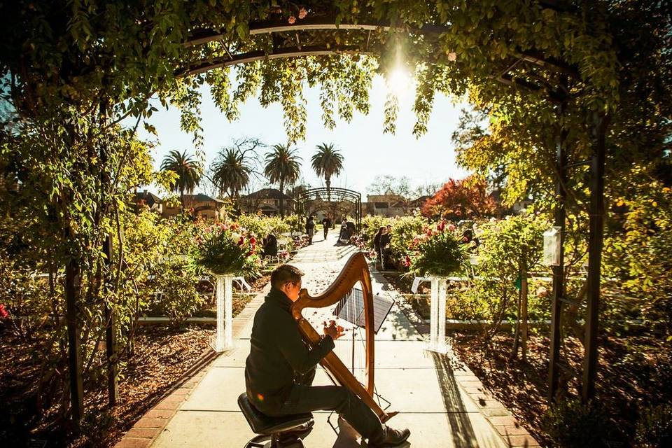 Rick Tan HarpMcKinley Rose Garden, SacramentoSees The Day Photography